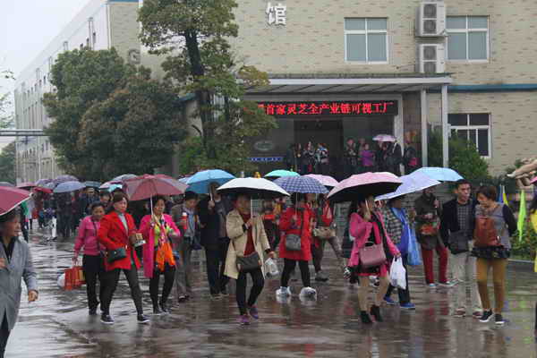 杭州亞運會官方靈芝產(chǎn)品供應(yīng)商|杭州亞運會官方供應(yīng)商|中國靈芝十大品牌|仙客來靈芝|仙客來靈芝破壁孢子粉|仙客來孢子油|仙客來靈芝飲片|仙客來破壁孢子粉|靈芝孢子油|孢子粉|靈芝破壁孢子粉|靈芝|中華老字號