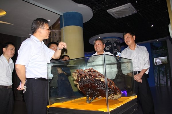 杭州亞運(yùn)會(huì)官方靈芝產(chǎn)品供應(yīng)商|杭州亞運(yùn)會(huì)官方供應(yīng)商|中國(guó)靈芝十大品牌|仙客來靈芝|仙客來靈芝破壁孢子粉|仙客來孢子油|仙客來靈芝飲片|仙客來破壁孢子粉|靈芝孢子油|孢子粉|靈芝破壁孢子粉|靈芝|中華老字號(hào)