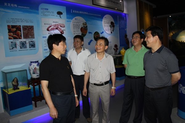 杭州亞運(yùn)會(huì)官方靈芝產(chǎn)品供應(yīng)商|杭州亞運(yùn)會(huì)官方供應(yīng)商|中國(guó)靈芝十大品牌|仙客來(lái)靈芝|仙客來(lái)靈芝破壁孢子粉|仙客來(lái)孢子油|仙客來(lái)靈芝飲片|仙客來(lái)破壁孢子粉|靈芝孢子油|孢子粉|靈芝破壁孢子粉|靈芝|中華老字號(hào)