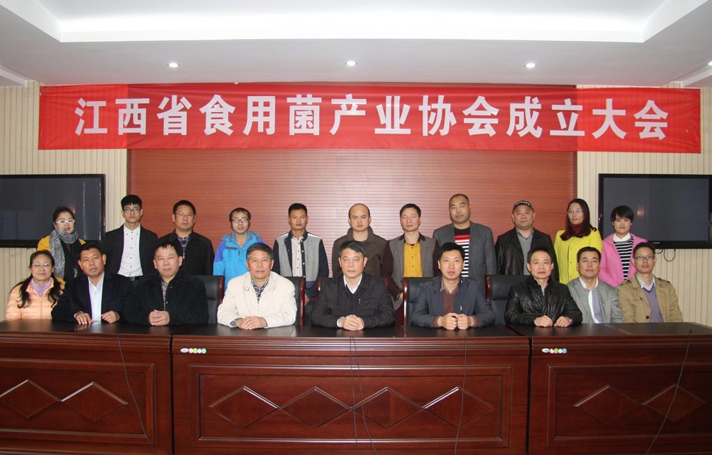 杭州亞運(yùn)會(huì)官方靈芝產(chǎn)品供應(yīng)商|杭州亞運(yùn)會(huì)官方供應(yīng)商|中國靈芝十大品牌|仙客來靈芝|仙客來靈芝破壁孢子粉|仙客來孢子油|仙客來靈芝飲片|仙客來破壁孢子粉|靈芝孢子油|孢子粉|靈芝破壁孢子粉|靈芝|中華老字號