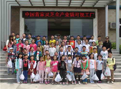 杭州亞運(yùn)會官方靈芝產(chǎn)品供應(yīng)商|杭州亞運(yùn)會官方供應(yīng)商|中國靈芝十大品牌|仙客來靈芝|仙客來靈芝破壁孢子粉|仙客來孢子油|仙客來靈芝飲片|仙客來破壁孢子粉|靈芝孢子油|孢子粉|靈芝破壁孢子粉|靈芝|中華老字號