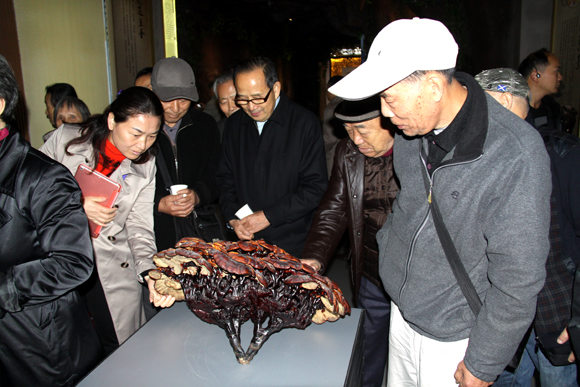 杭州亞運會官方靈芝產(chǎn)品供應商|杭州亞運會官方供應商|中國靈芝十大品牌|仙客來靈芝|仙客來靈芝破壁孢子粉|仙客來孢子油|仙客來靈芝飲片|仙客來破壁孢子粉|靈芝孢子油|孢子粉|靈芝破壁孢子粉|靈芝|中華老字號