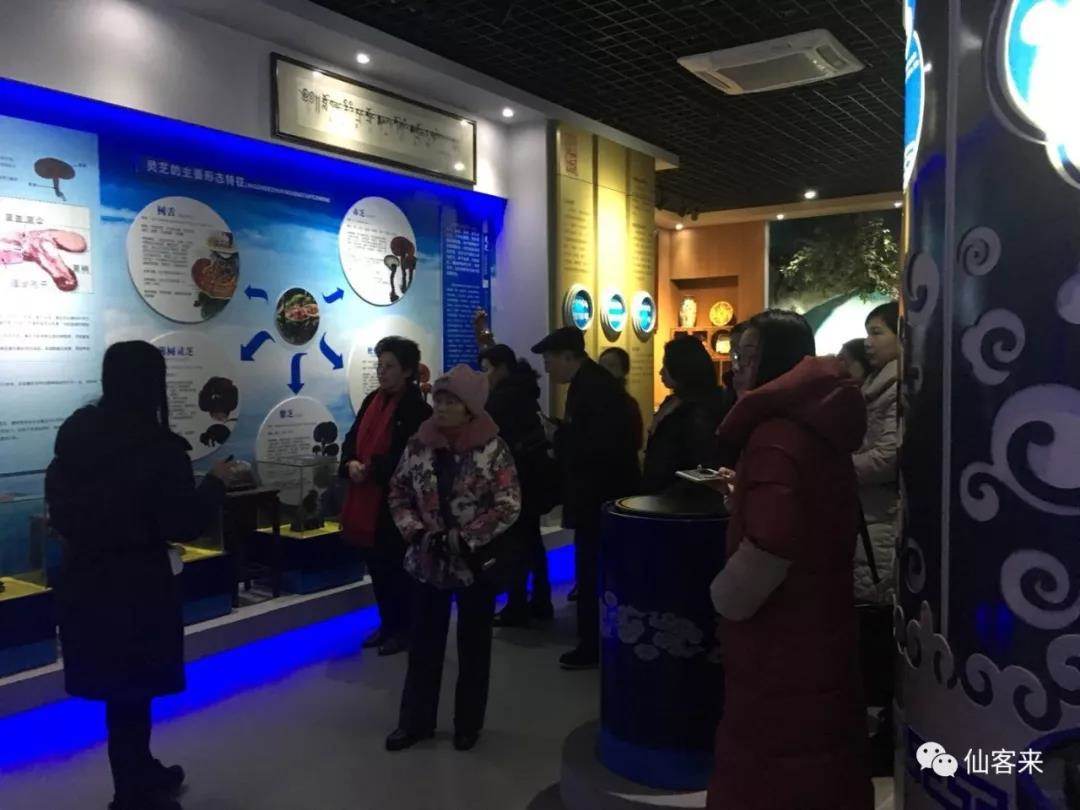 中國靈芝十大品牌|仙客來靈芝|仙客來靈芝破壁孢子粉|仙客來孢子油|仙客來靈芝飲片|仙客來破壁孢子粉|仙客來靈芝中藥飲片|馳名商標(biāo)|www.whsy100.cn|