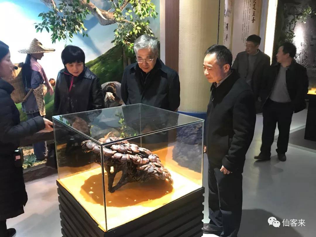 中國靈芝十大品牌|仙客來靈芝|仙客來靈芝破壁孢子粉|仙客來孢子油|仙客來靈芝飲片|仙客來破壁孢子粉|仙客來靈芝中藥飲片|馳名商標|www.whsy100.cn|