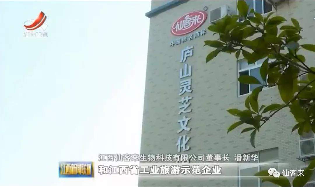 中國靈芝十大品牌|仙客來靈芝|仙客來靈芝破壁孢子粉|仙客來孢子油|仙客來靈芝飲片|仙客來破壁孢子粉|仙客來靈芝中藥飲片|馳名商標(biāo)|www.whsy100.cn|