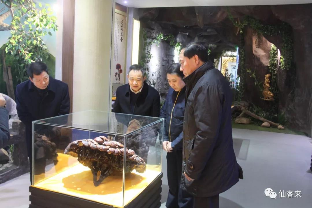 中國靈芝十大品牌|仙客來靈芝|仙客來靈芝破壁孢子粉|仙客來孢子油|仙客來靈芝飲片|仙客來破壁孢子粉|仙客來靈芝中藥飲片|馳名商標(biāo)|www.whsy100.cn|