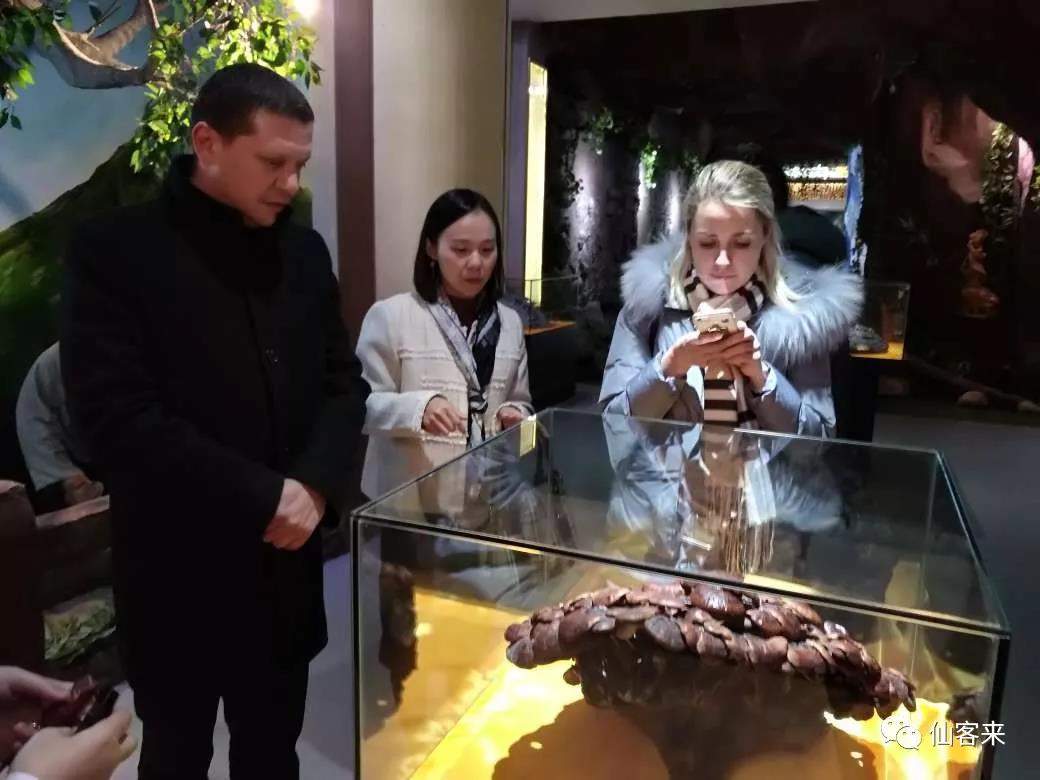 中國(guó)靈芝十大品牌|仙客來(lái)靈芝|仙客來(lái)靈芝破壁孢子粉|仙客來(lái)孢子油|仙客來(lái)靈芝飲片|仙客來(lái)破壁孢子粉|仙客來(lái)靈芝中藥飲片|馳名商標(biāo)|www.whsy100.cn|