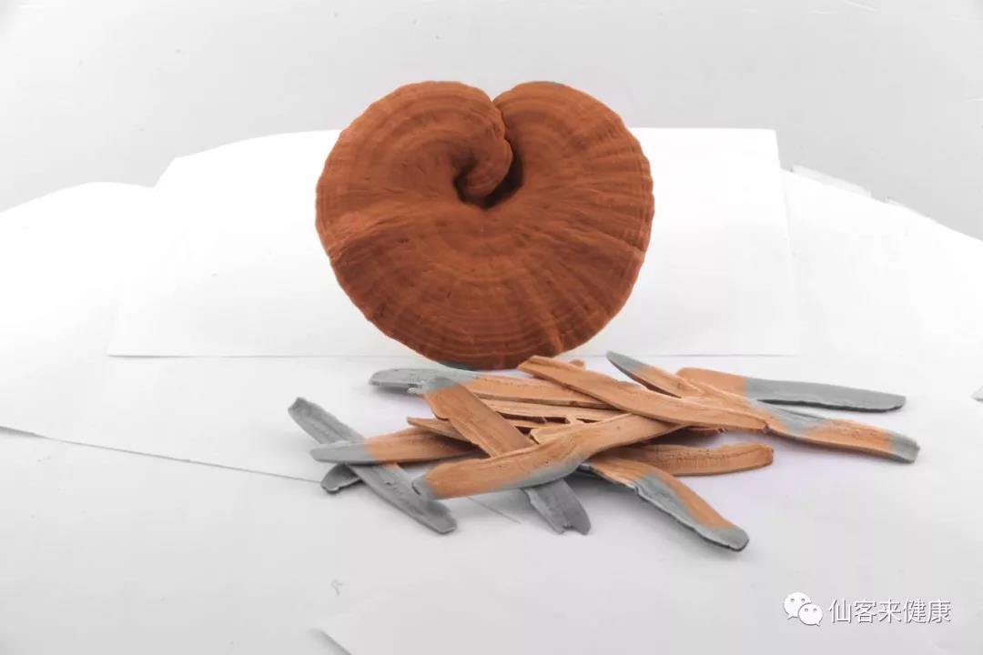 中國靈芝十大品牌|仙客來靈芝|仙客來靈芝破壁孢子粉|仙客來孢子油|仙客來靈芝飲片|仙客來破壁孢子粉|仙客來靈芝中藥飲片|馳名商標(biāo)|www.whsy100.cn|