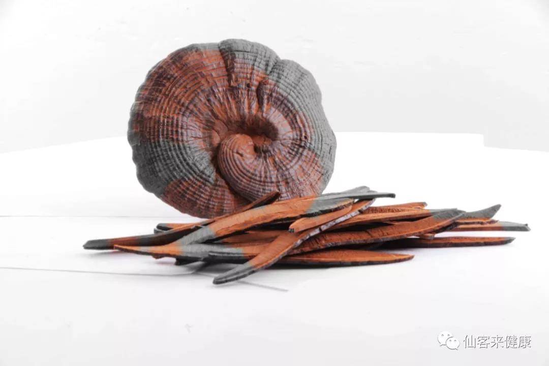 中國靈芝十大品牌|仙客來靈芝|仙客來靈芝破壁孢子粉|仙客來孢子油|仙客來靈芝飲片|仙客來破壁孢子粉|仙客來靈芝中藥飲片|馳名商標(biāo)|www.whsy100.cn|