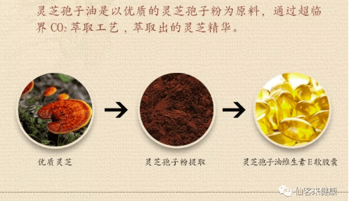 中國靈芝十大品牌|仙客來靈芝|仙客來靈芝破壁孢子粉|仙客來孢子油|仙客來靈芝飲片|仙客來破壁孢子粉|仙客來靈芝中藥飲片|馳名商標(biāo)|www.whsy100.cn|