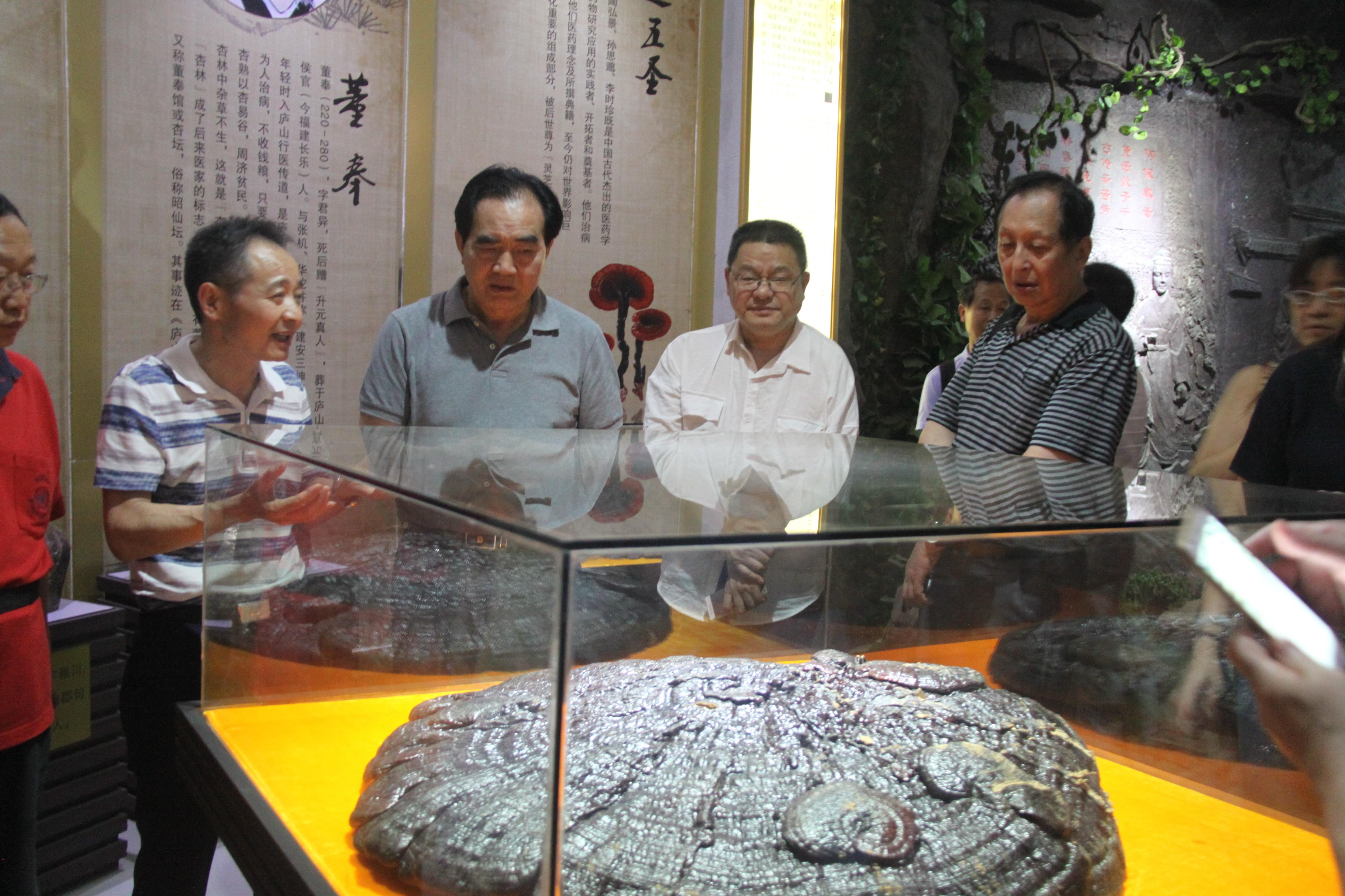 中國(guó)靈芝十大品牌|仙客來靈芝|仙客來靈芝破壁孢子粉|仙客來孢子油|仙客來靈芝飲片|仙客來破壁孢子粉|仙客來靈芝中藥飲片|馳名商標(biāo)|www.whsy100.cn|