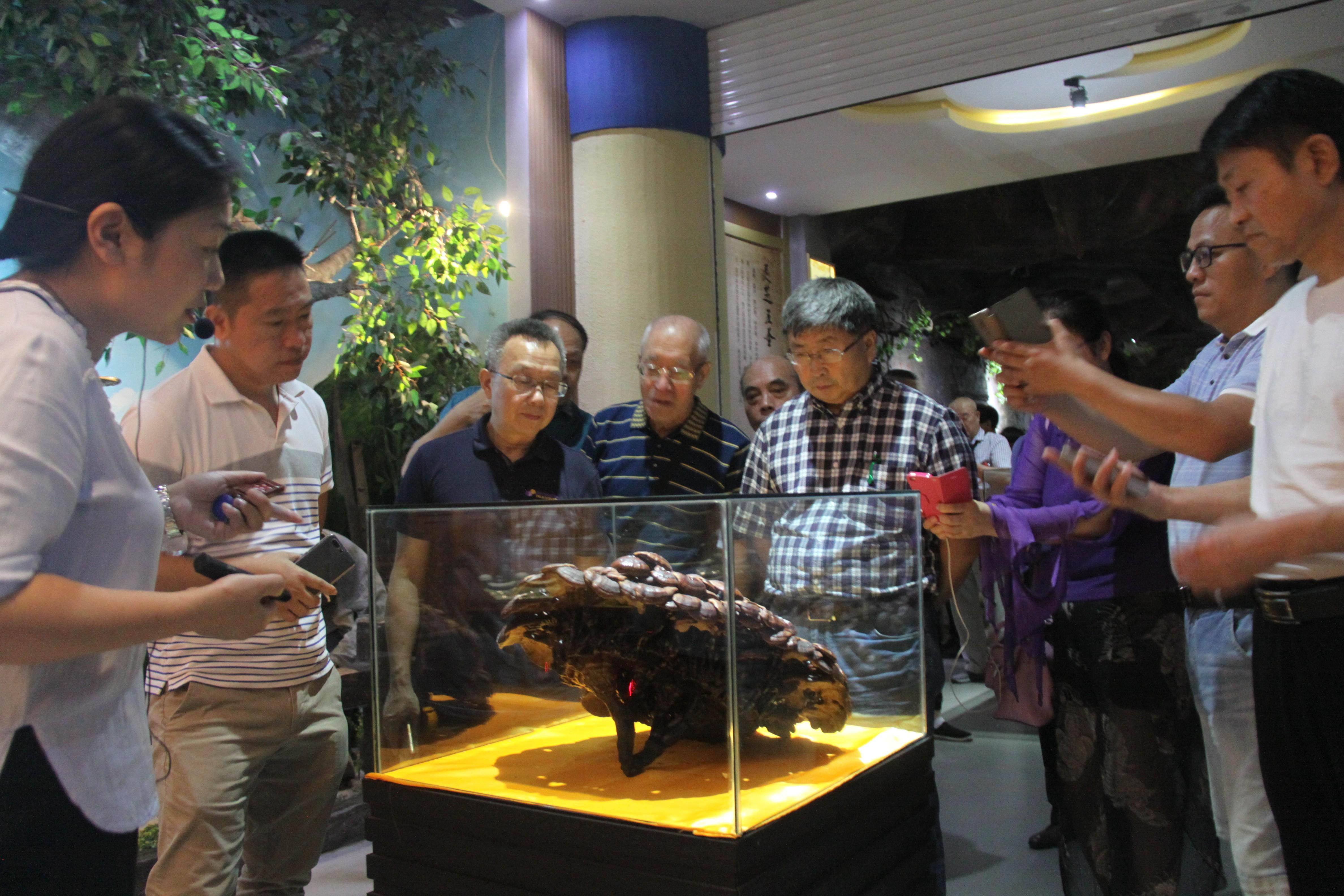 中國(guó)靈芝十大品牌|仙客來靈芝|仙客來靈芝破壁孢子粉|仙客來孢子油|仙客來靈芝飲片|仙客來破壁孢子粉|仙客來靈芝中藥飲片|馳名商標(biāo)|www.whsy100.cn|