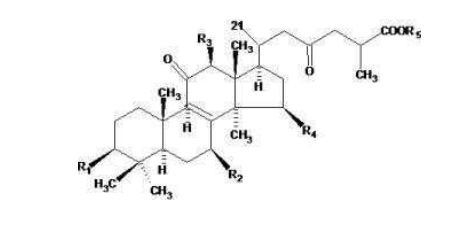 中國靈芝十大品牌|仙客來靈芝|仙客來靈芝破壁孢子粉|仙客來孢子油|仙客來靈芝飲片|仙客來破壁孢子粉|仙客來靈芝中藥飲片|馳名商標(biāo)|www.whsy100.cn|