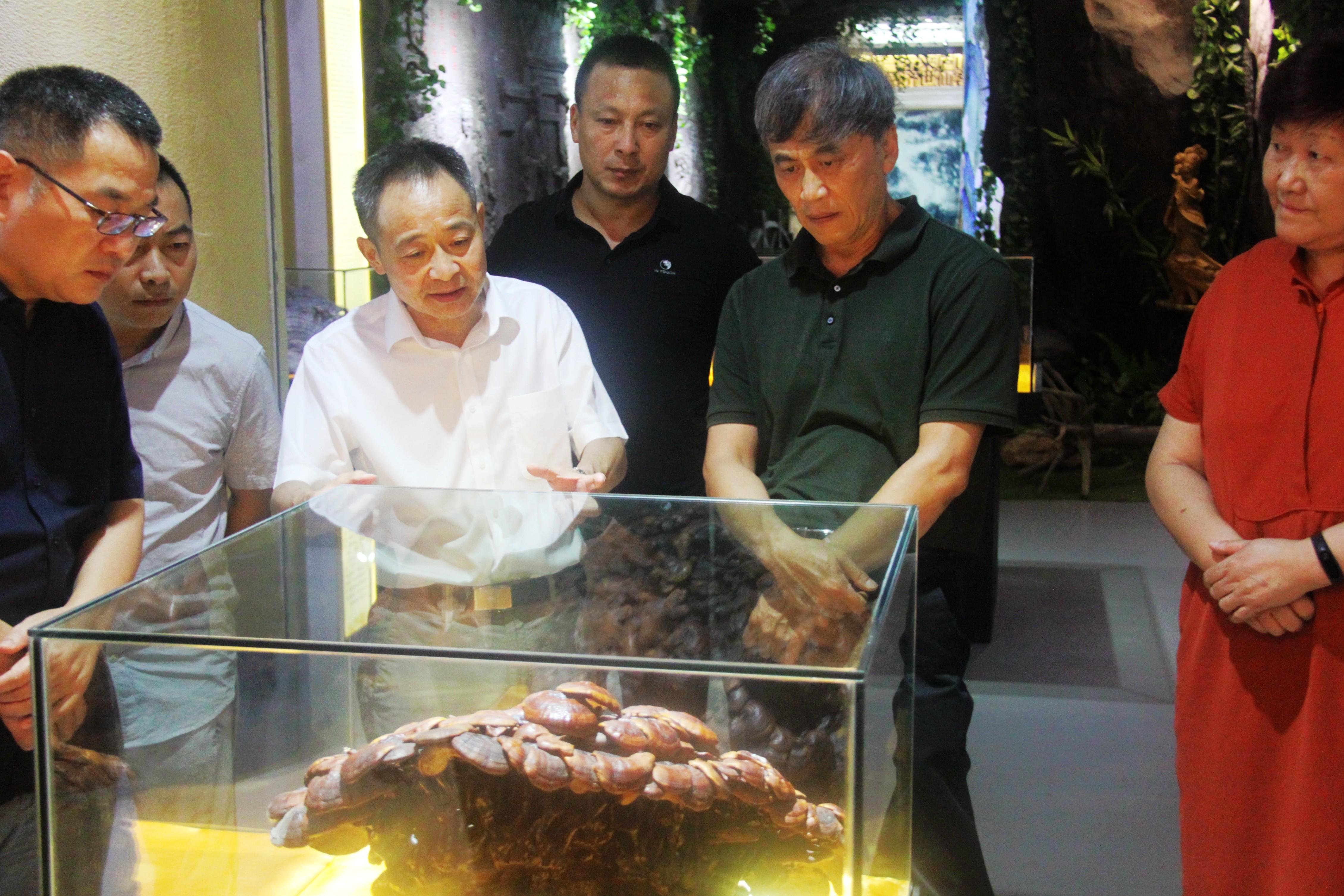 中國靈芝十大品牌|仙客來靈芝|仙客來靈芝破壁孢子粉|仙客來孢子油|仙客來靈芝飲片|仙客來破壁孢子粉|仙客來靈芝中藥飲片|馳名商標(biāo)|www.whsy100.cn|