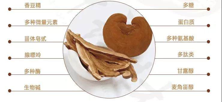 中國(guó)靈芝十大品牌|仙客來靈芝|仙客來靈芝破壁孢子粉|仙客來孢子油|仙客來靈芝飲片|仙客來破壁孢子粉|仙客來靈芝中藥飲片|馳名商標(biāo)|www.whsy100.cn|