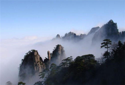 中國(guó)靈芝十大品牌|仙客來(lái)靈芝|仙客來(lái)靈芝破壁孢子粉|仙客來(lái)孢子油|仙客來(lái)靈芝飲片|仙客來(lái)破壁孢子粉|仙客來(lái)靈芝中藥飲片|馳名商標(biāo)|www.whsy100.cn|