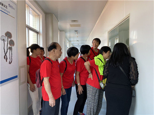 杭州亞運會官方靈芝產(chǎn)品供應商|杭州亞運會官方供應商|中國靈芝十大品牌|仙客來靈芝|仙客來靈芝破壁孢子粉|仙客來孢子油|仙客來靈芝飲片|仙客來破壁孢子粉|靈芝孢子油|孢子粉|靈芝破壁孢子粉|靈芝|中華老字號