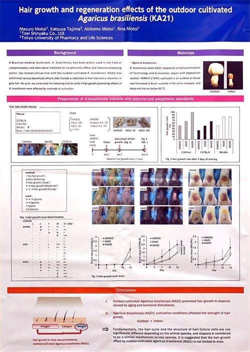 中國(guó)靈芝十大品牌|仙客來靈芝|仙客來靈芝破壁孢子粉|仙客來孢子油|仙客來靈芝飲片|仙客來破壁孢子粉|仙客來靈芝中藥飲片|馳名商標(biāo)|www.whsy100.cn|