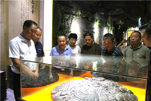 中國靈芝十大品牌|仙客來靈芝|仙客來靈芝破壁孢子粉|仙客來孢子油|仙客來靈芝飲片|仙客來破壁孢子粉|仙客來靈芝中藥飲片|馳名商標(biāo)|www.whsy100.cn|