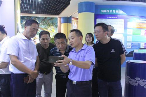 中國靈芝十大品牌|仙客來靈芝|仙客來靈芝破壁孢子粉|仙客來孢子油|仙客來靈芝飲片|仙客來破壁孢子粉|仙客來靈芝中藥飲片|馳名商標(biāo)|www.whsy100.cn|