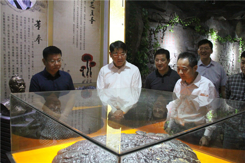 中國靈芝十大品牌|仙客來靈芝|仙客來靈芝破壁孢子粉|仙客來孢子油|仙客來靈芝飲片|仙客來破壁孢子粉|仙客來靈芝中藥飲片|馳名商標(biāo)|www.whsy100.cn|