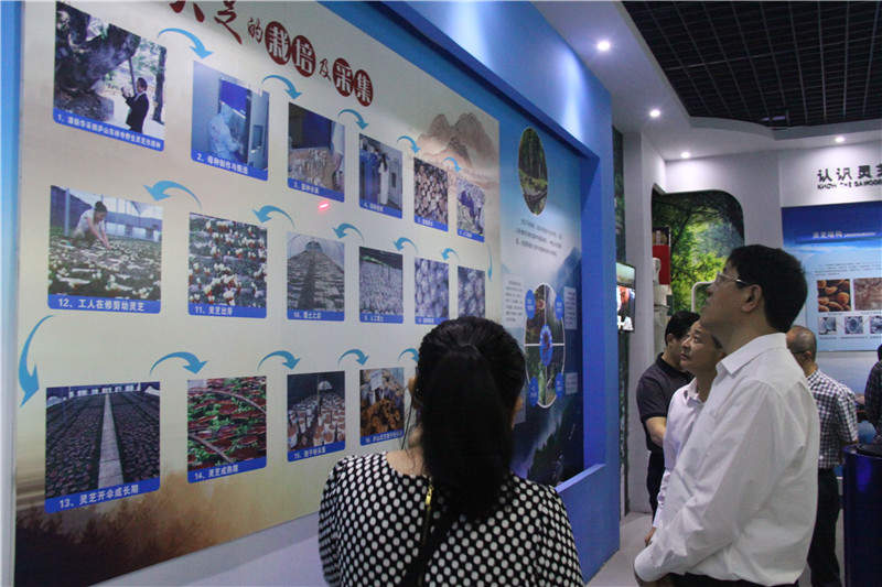 中國靈芝十大品牌|仙客來靈芝|仙客來靈芝破壁孢子粉|仙客來孢子油|仙客來靈芝飲片|仙客來破壁孢子粉|仙客來靈芝中藥飲片|馳名商標(biāo)|www.whsy100.cn|