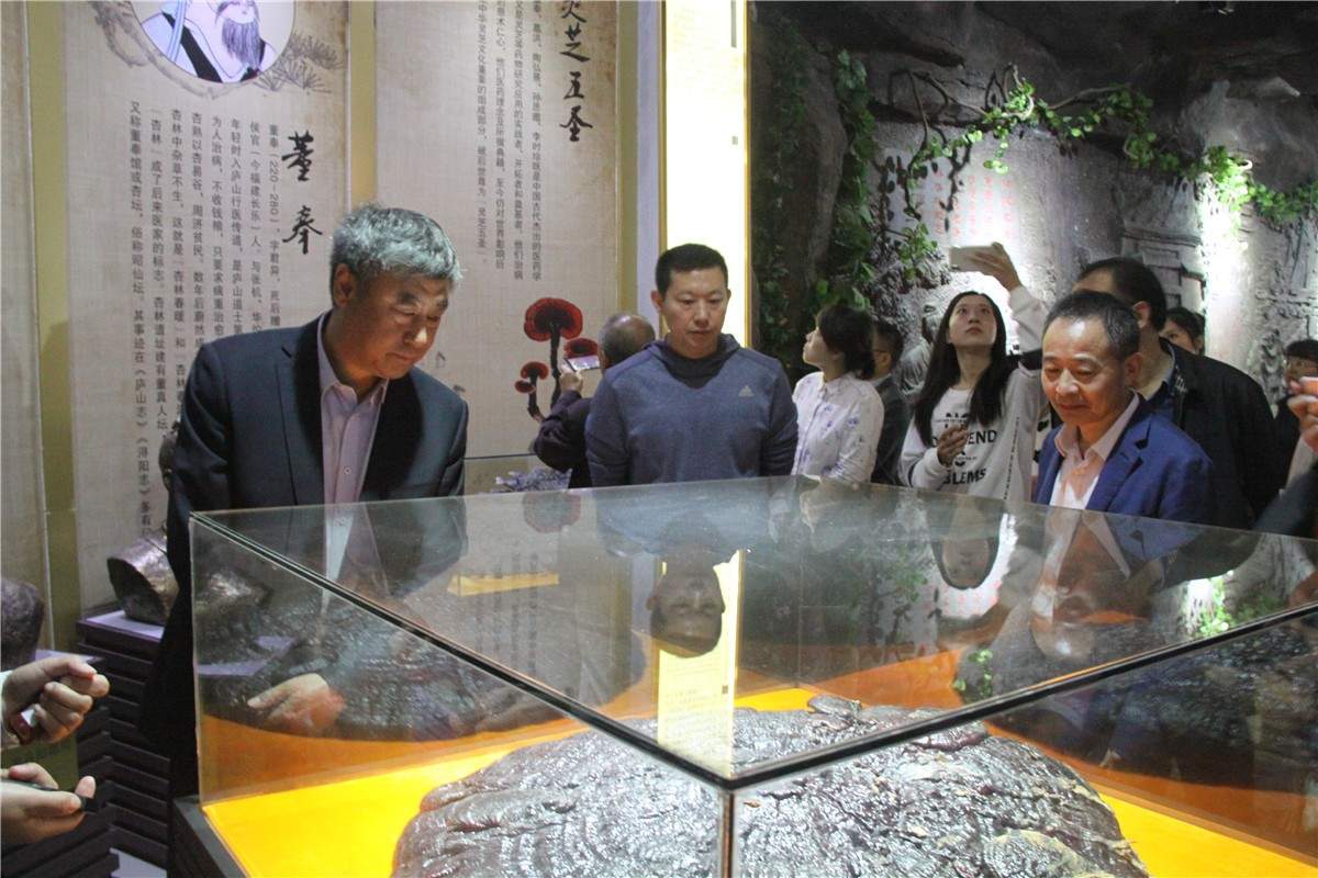 中國靈芝十大品牌|仙客來靈芝|仙客來靈芝破壁孢子粉|仙客來孢子油|仙客來靈芝飲片|仙客來破壁孢子粉|仙客來靈芝中藥飲片|馳名商標|www.whsy100.cn|