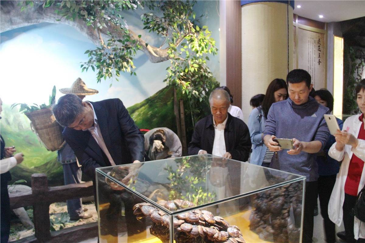 中國靈芝十大品牌|仙客來靈芝|仙客來靈芝破壁孢子粉|仙客來孢子油|仙客來靈芝飲片|仙客來破壁孢子粉|仙客來靈芝中藥飲片|馳名商標|www.whsy100.cn|