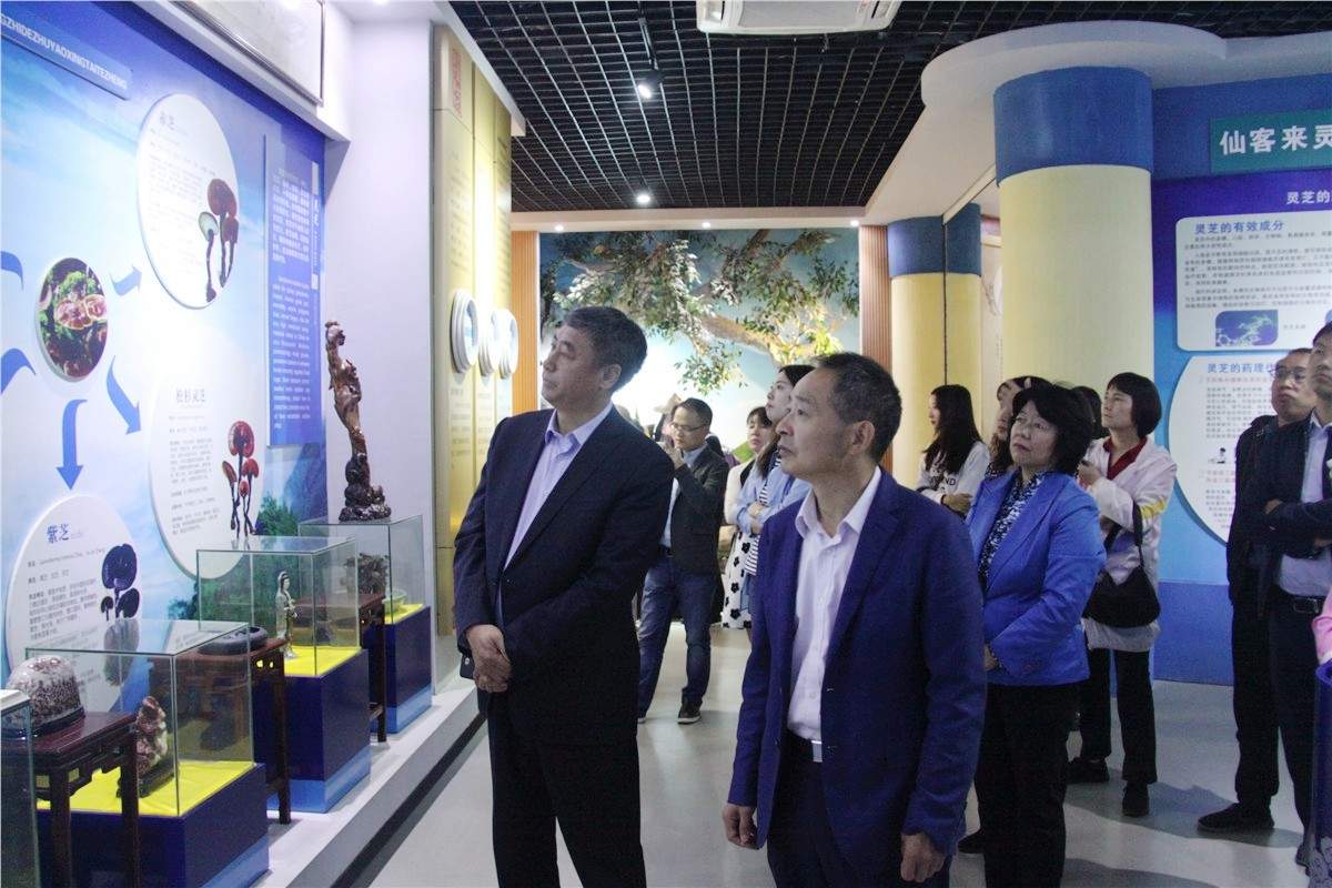 中國靈芝十大品牌|仙客來靈芝|仙客來靈芝破壁孢子粉|仙客來孢子油|仙客來靈芝飲片|仙客來破壁孢子粉|仙客來靈芝中藥飲片|馳名商標|www.whsy100.cn|