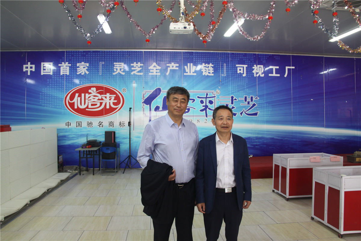 中國靈芝十大品牌|仙客來靈芝|仙客來靈芝破壁孢子粉|仙客來孢子油|仙客來靈芝飲片|仙客來破壁孢子粉|仙客來靈芝中藥飲片|馳名商標|www.whsy100.cn|