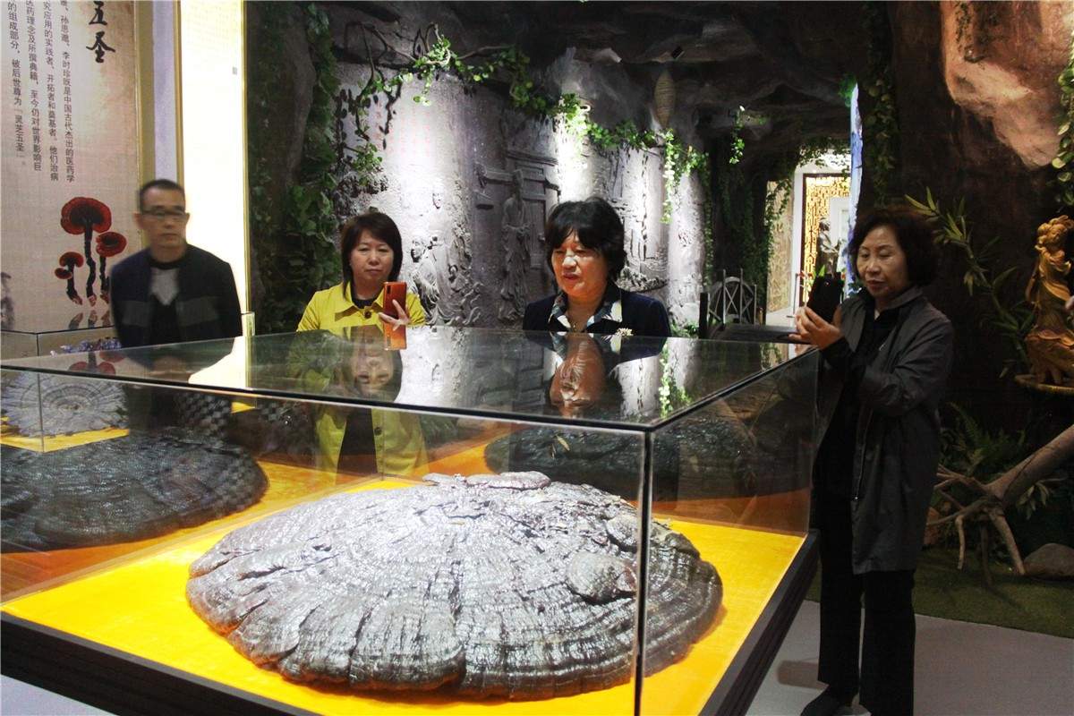 中國靈芝十大品牌|仙客來靈芝|仙客來靈芝破壁孢子粉|仙客來孢子油|仙客來靈芝飲片|仙客來破壁孢子粉|仙客來靈芝中藥飲片|馳名商標|www.whsy100.cn|