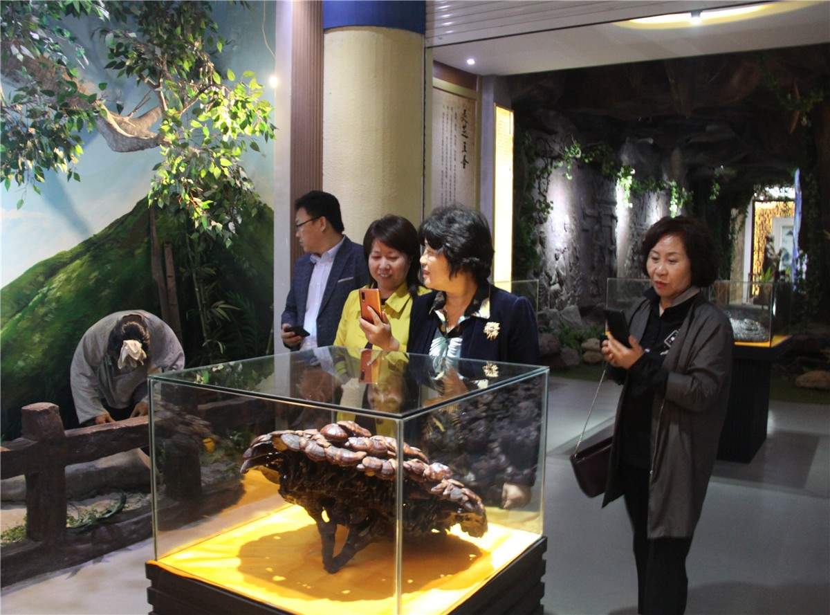 中國靈芝十大品牌|仙客來靈芝|仙客來靈芝破壁孢子粉|仙客來孢子油|仙客來靈芝飲片|仙客來破壁孢子粉|仙客來靈芝中藥飲片|馳名商標|www.whsy100.cn|