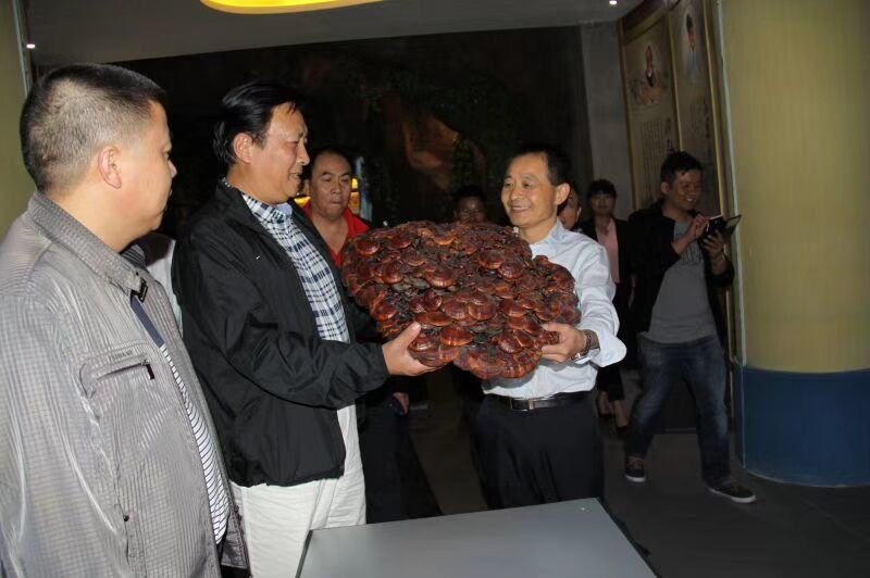 中國靈芝十大品牌|仙客來靈芝|仙客來靈芝破壁孢子粉|仙客來孢子油|仙客來靈芝飲片|仙客來破壁孢子粉|仙客來靈芝中藥飲片|馳名商標(biāo)|www.whsy100.cn|