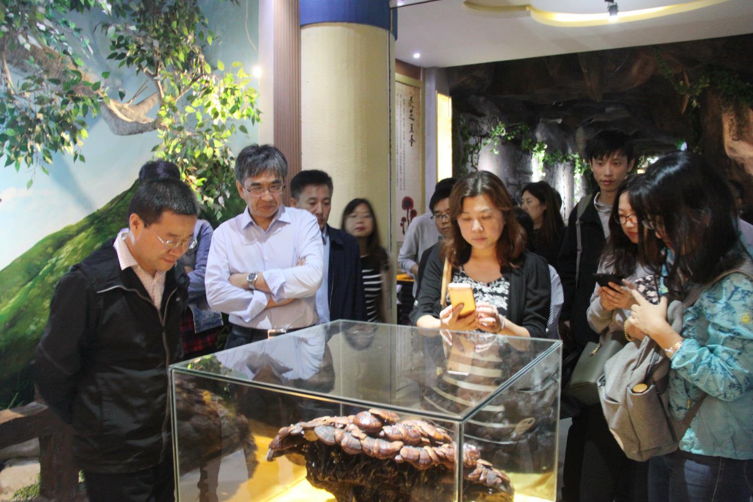 中國靈芝十大品牌|仙客來靈芝|仙客來靈芝破壁孢子粉|仙客來孢子油|仙客來靈芝飲片|仙客來破壁孢子粉|仙客來靈芝中藥飲片|馳名商標(biāo)|www.whsy100.cn|