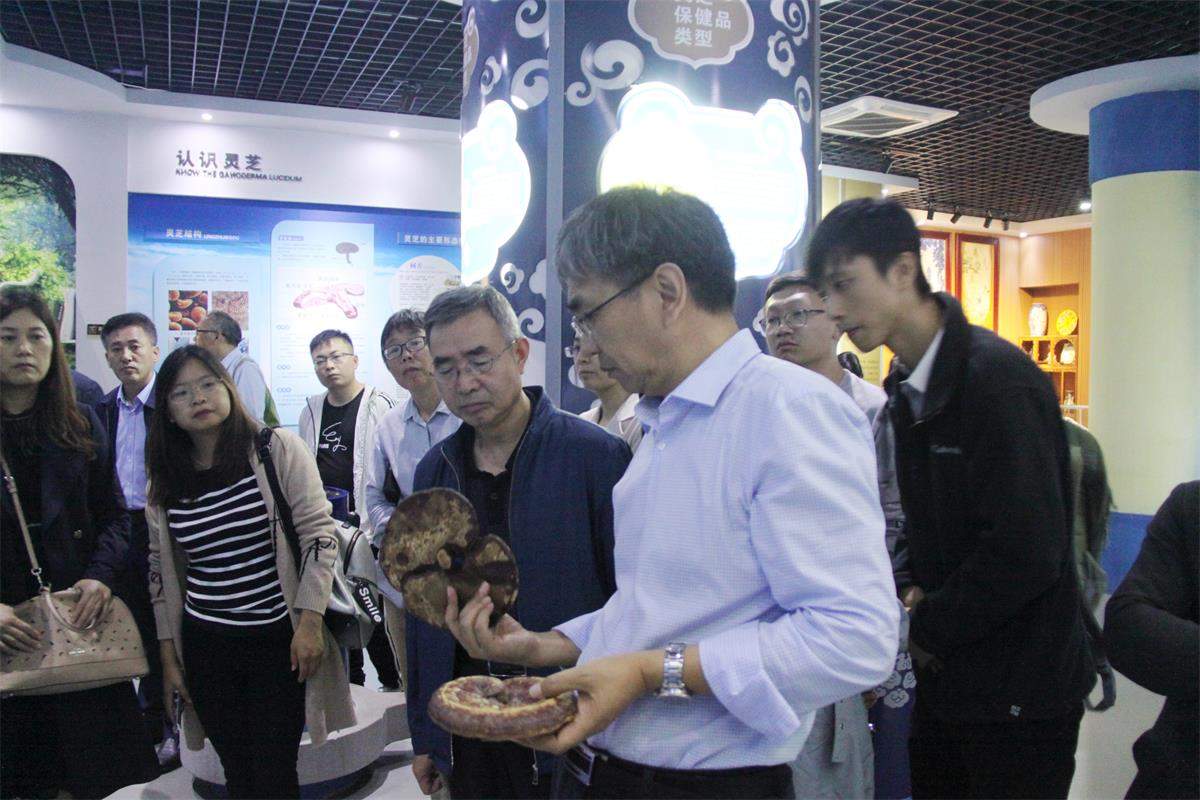 中國靈芝十大品牌|仙客來靈芝|仙客來靈芝破壁孢子粉|仙客來孢子油|仙客來靈芝飲片|仙客來破壁孢子粉|仙客來靈芝中藥飲片|馳名商標(biāo)|www.whsy100.cn|