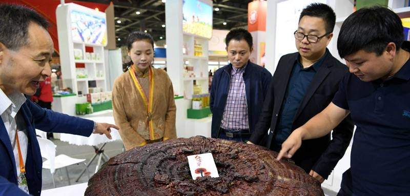 中國靈芝十大品牌|仙客來靈芝|仙客來靈芝破壁孢子粉|仙客來孢子油|仙客來靈芝飲片|仙客來破壁孢子粉|仙客來靈芝中藥飲片|馳名商標|www.whsy100.cn|