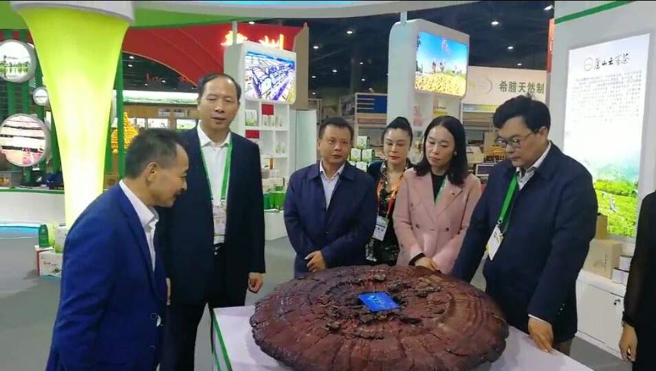 中國靈芝十大品牌|仙客來靈芝|仙客來靈芝破壁孢子粉|仙客來孢子油|仙客來靈芝飲片|仙客來破壁孢子粉|仙客來靈芝中藥飲片|馳名商標|www.whsy100.cn|