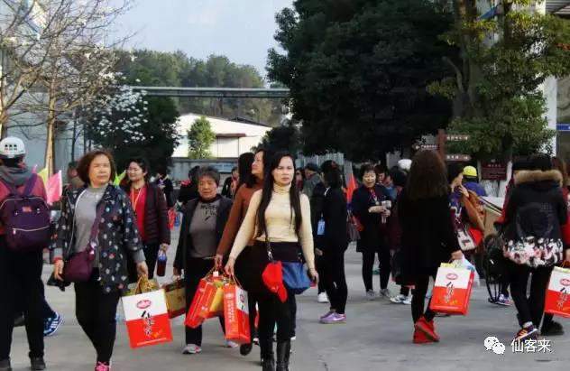 中國靈芝十大品牌|仙客來靈芝|仙客來靈芝破壁孢子粉|仙客來孢子油|仙客來靈芝飲片|仙客來破壁孢子粉|仙客來靈芝中藥飲片|馳名商標|www.whsy100.cn|