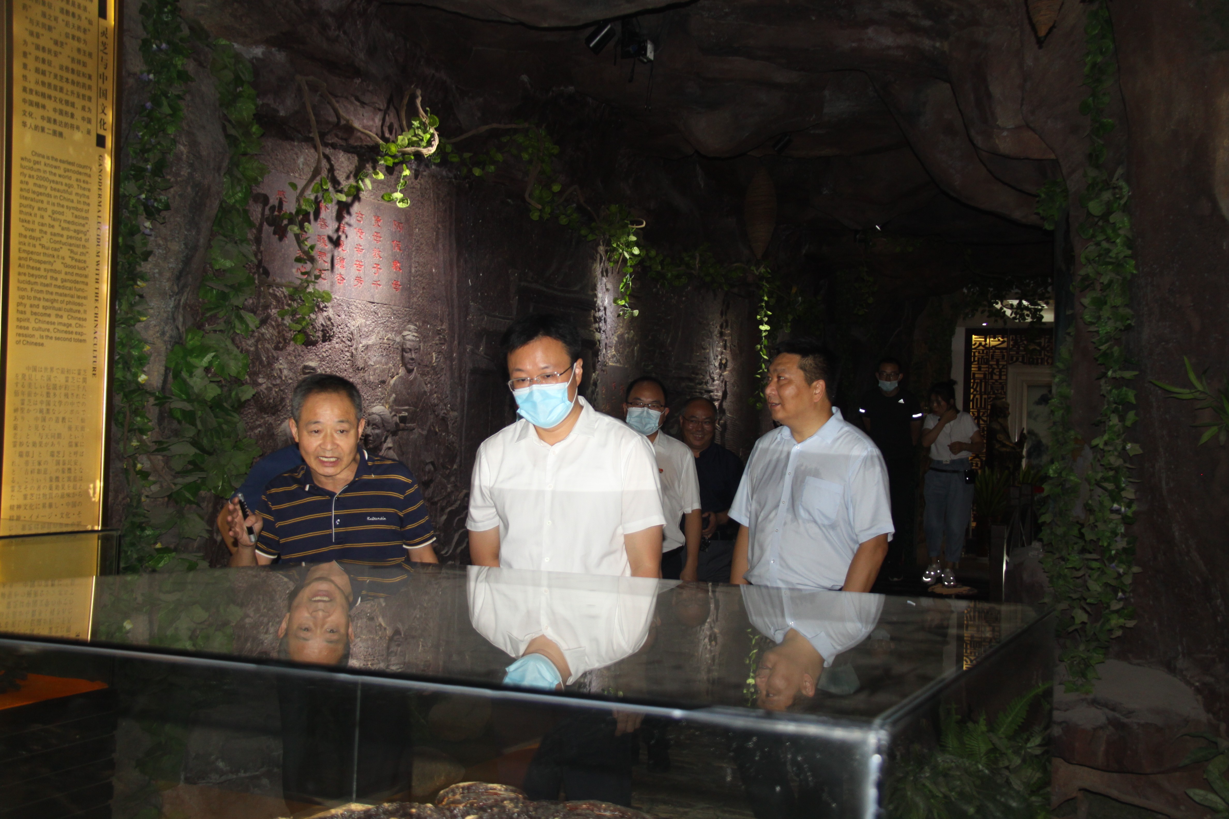 杭州亞運(yùn)會(huì)官方靈芝產(chǎn)品供應(yīng)商|杭州亞運(yùn)會(huì)官方供應(yīng)商|中國靈芝十大品牌|仙客來靈芝|仙客來靈芝破壁孢子粉|仙客來孢子油|仙客來靈芝飲片|仙客來破壁孢子粉|靈芝孢子油|孢子粉|靈芝破壁孢子粉|靈芝|中華老字號(hào)