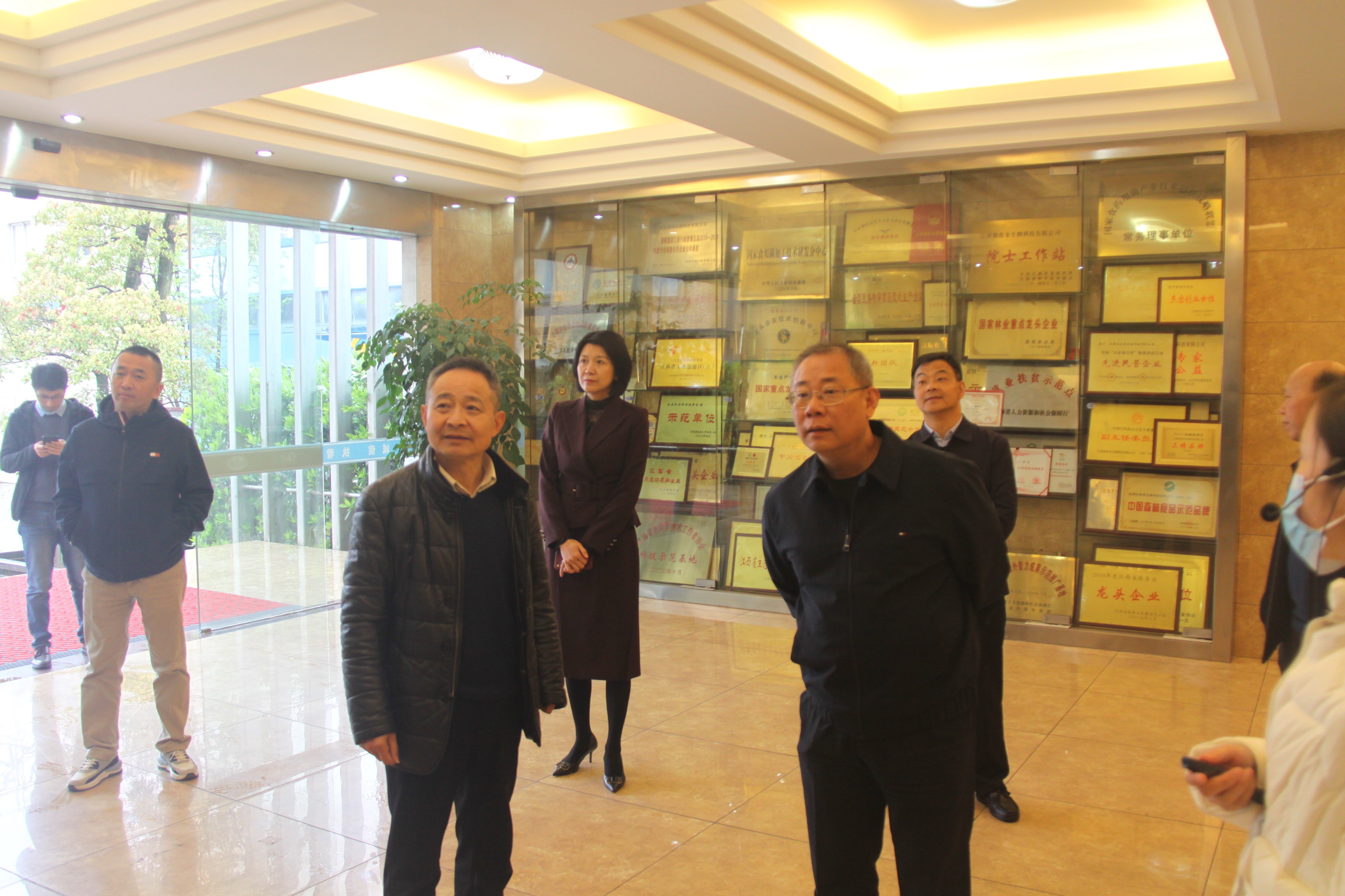 杭州亞運(yùn)會(huì)官方靈芝產(chǎn)品供應(yīng)商|杭州亞運(yùn)會(huì)官方供應(yīng)商|中國靈芝十大品牌|仙客來靈芝|仙客來靈芝破壁孢子粉|仙客來孢子油|仙客來靈芝飲片|仙客來破壁孢子粉|靈芝孢子油|孢子粉|靈芝破壁孢子粉|靈芝|中華老字號