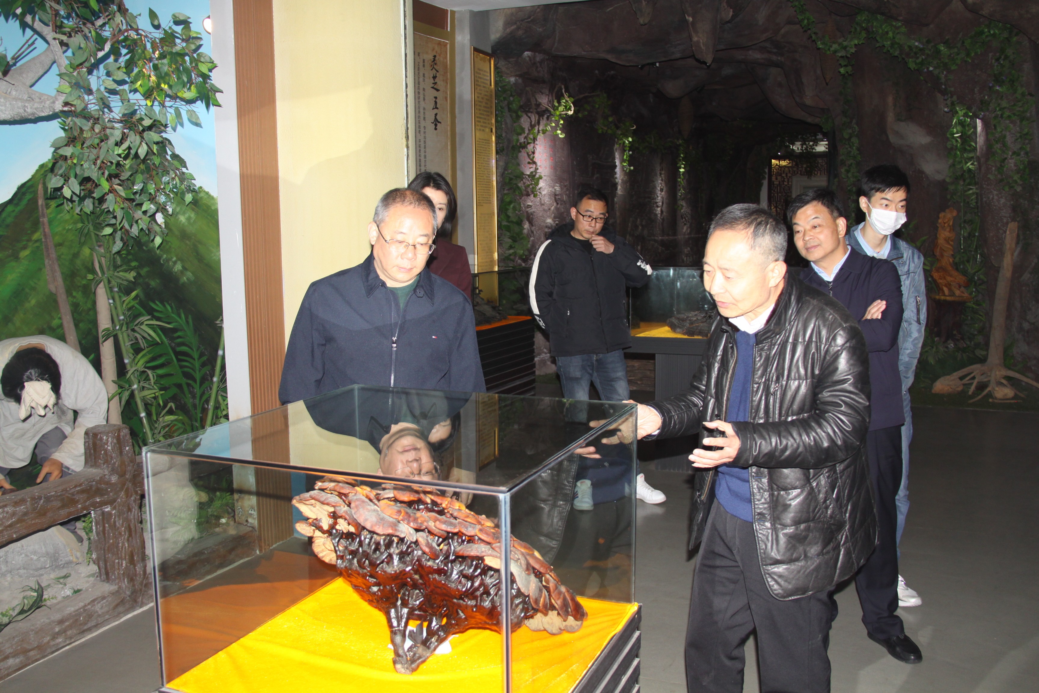 杭州亞運(yùn)會(huì)官方靈芝產(chǎn)品供應(yīng)商|杭州亞運(yùn)會(huì)官方供應(yīng)商|中國靈芝十大品牌|仙客來靈芝|仙客來靈芝破壁孢子粉|仙客來孢子油|仙客來靈芝飲片|仙客來破壁孢子粉|靈芝孢子油|孢子粉|靈芝破壁孢子粉|靈芝|中華老字號