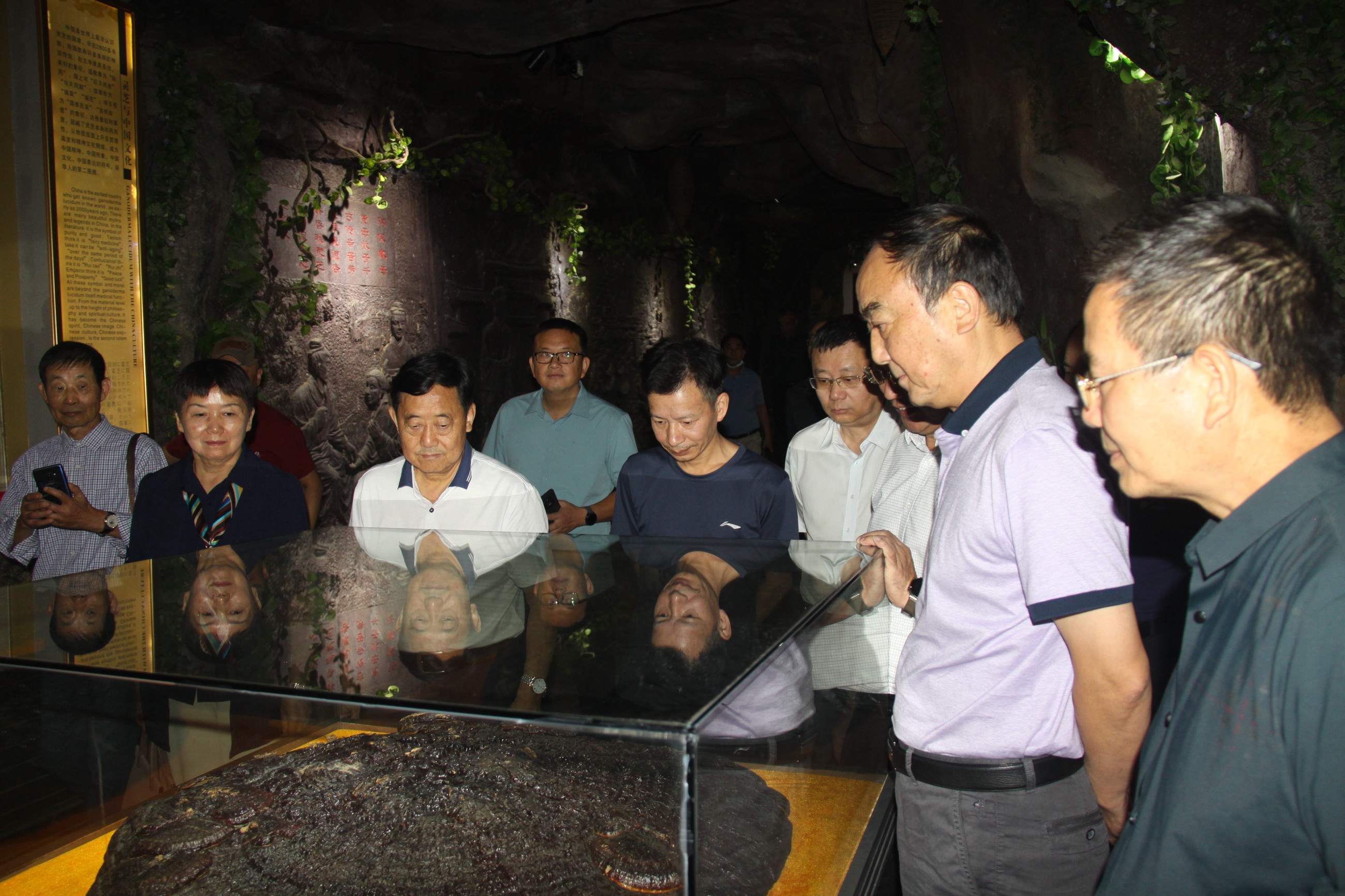 杭州亞運(yùn)會(huì)官方靈芝產(chǎn)品供應(yīng)商|杭州亞運(yùn)會(huì)官方供應(yīng)商|中國靈芝十大品牌|仙客來靈芝|仙客來靈芝破壁孢子粉|仙客來孢子油|仙客來靈芝飲片|仙客來破壁孢子粉|靈芝孢子油|孢子粉|靈芝破壁孢子粉|靈芝|中華老字號