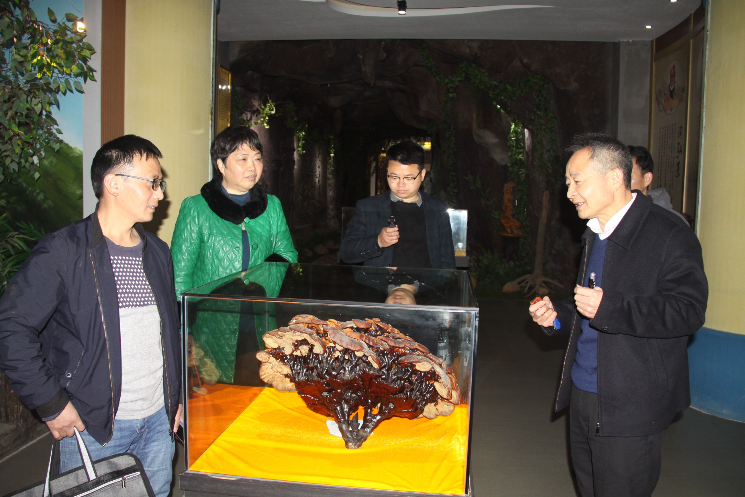 杭州亞運(yùn)會(huì)官方靈芝產(chǎn)品供應(yīng)商|杭州亞運(yùn)會(huì)官方供應(yīng)商|中國靈芝十大品牌|仙客來靈芝|仙客來靈芝破壁孢子粉|仙客來孢子油|仙客來靈芝飲片|仙客來破壁孢子粉|靈芝孢子油|孢子粉|靈芝破壁孢子粉|靈芝|中華老字號(hào)