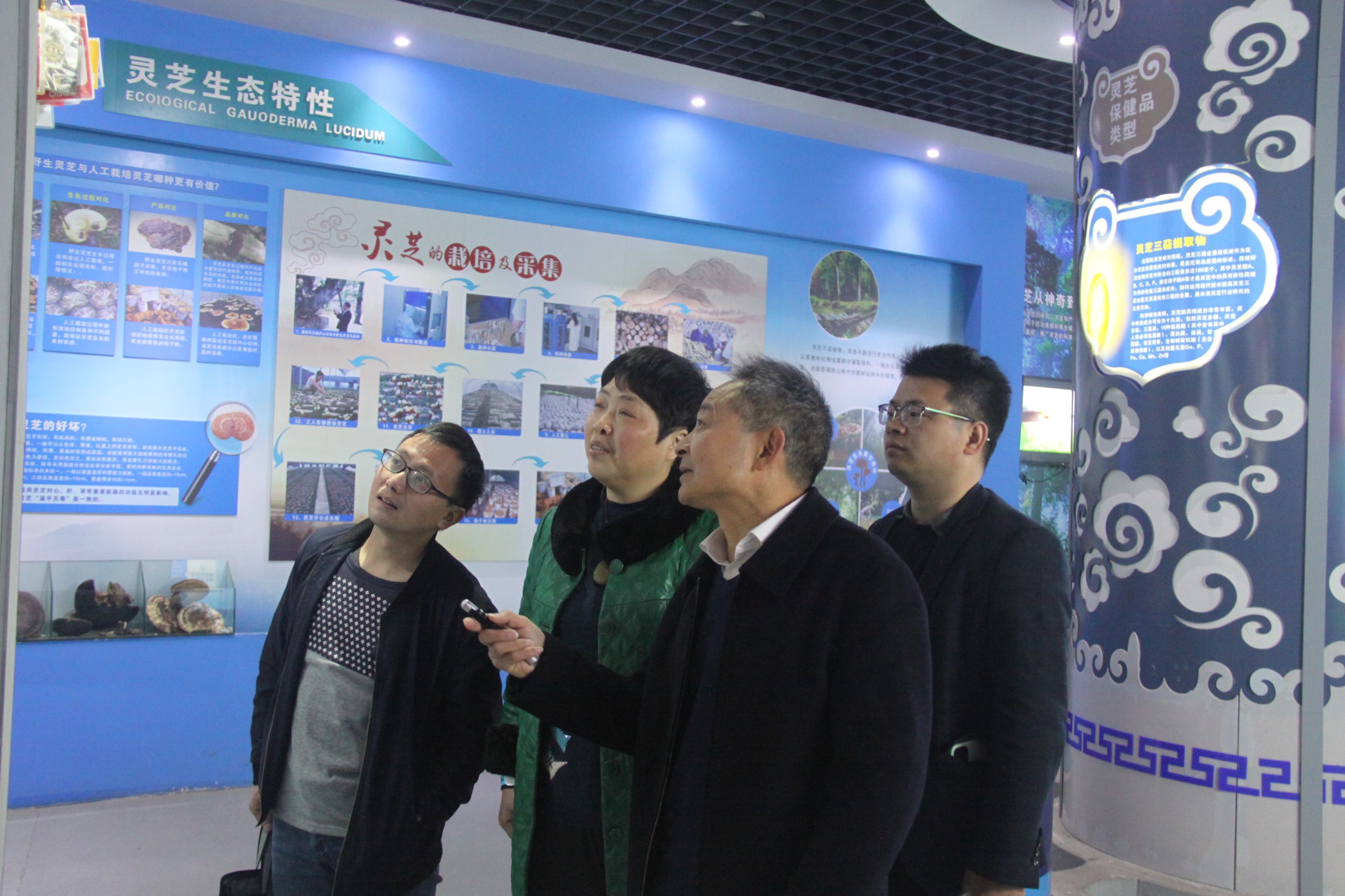 杭州亞運(yùn)會(huì)官方靈芝產(chǎn)品供應(yīng)商|杭州亞運(yùn)會(huì)官方供應(yīng)商|中國靈芝十大品牌|仙客來靈芝|仙客來靈芝破壁孢子粉|仙客來孢子油|仙客來靈芝飲片|仙客來破壁孢子粉|靈芝孢子油|孢子粉|靈芝破壁孢子粉|靈芝|中華老字號(hào)