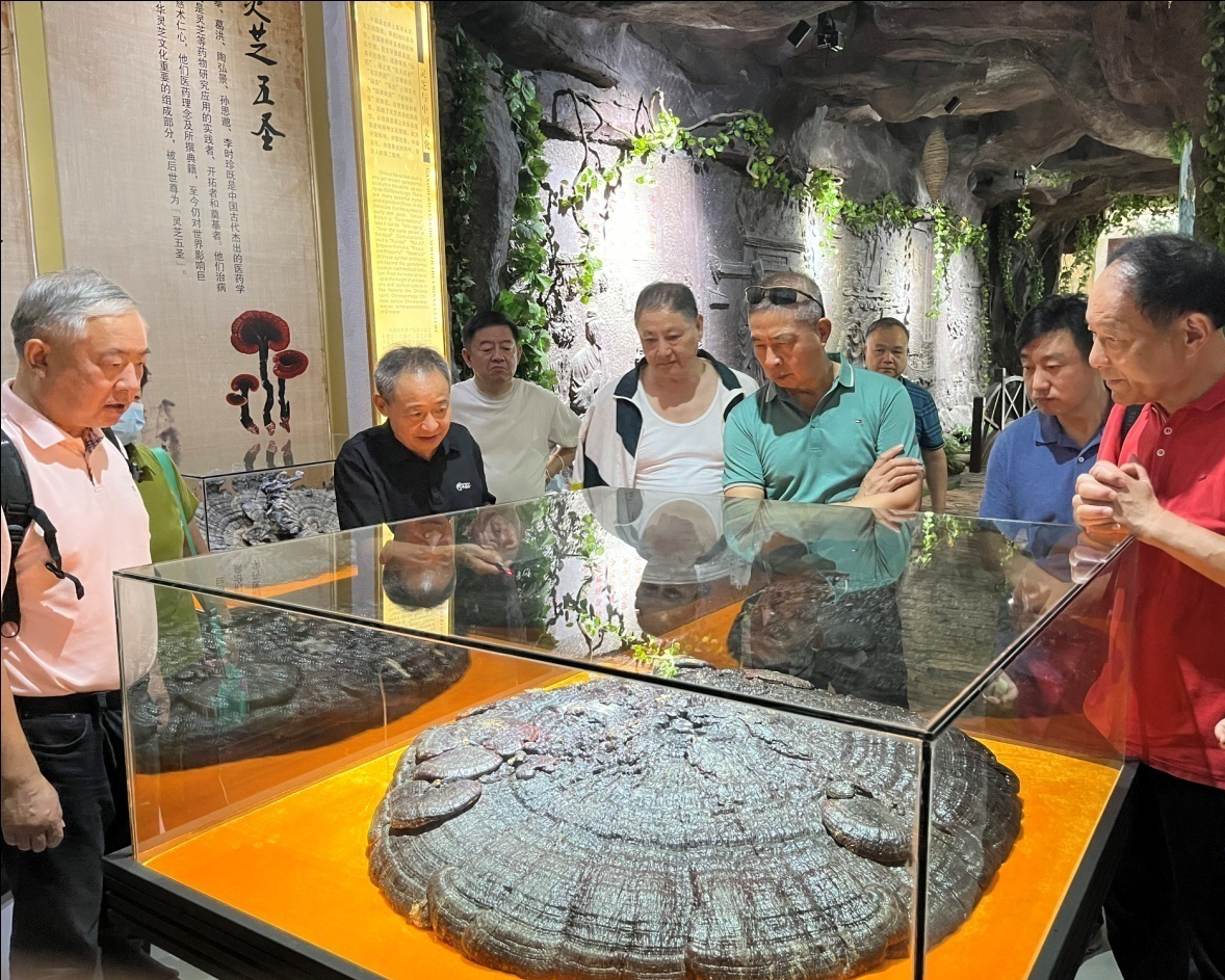 杭州亞運會官方靈芝產(chǎn)品供應(yīng)商|杭州亞運會官方供應(yīng)商|中國靈芝十大品牌|仙客來靈芝|仙客來靈芝破壁孢子粉|仙客來孢子油|仙客來靈芝飲片|仙客來破壁孢子粉|靈芝孢子油|孢子粉|靈芝破壁孢子粉|靈芝|中華老字號