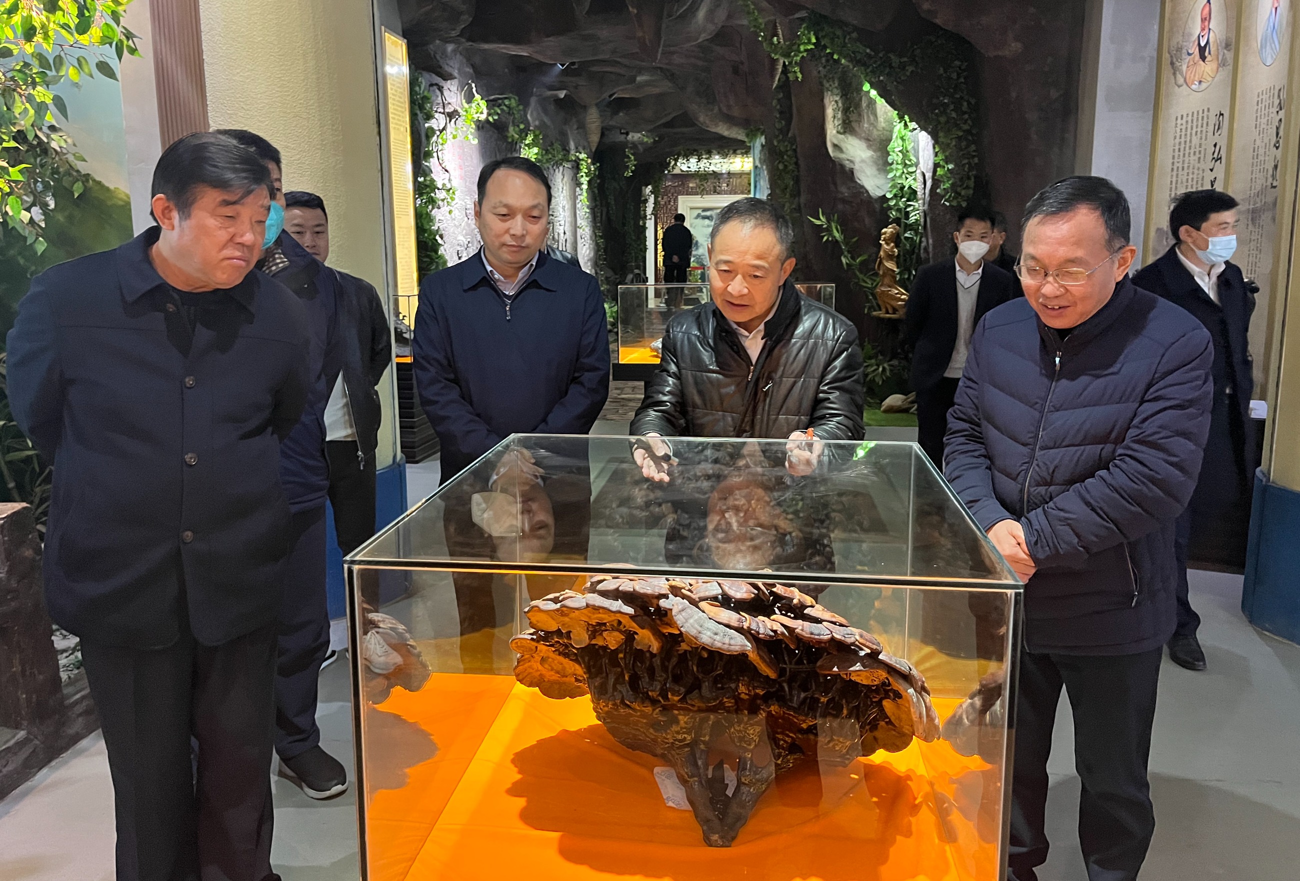 杭州亞運(yùn)會(huì)官方靈芝產(chǎn)品供應(yīng)商|杭州亞運(yùn)會(huì)官方供應(yīng)商|中國(guó)靈芝十大品牌|仙客來(lái)靈芝|仙客來(lái)靈芝破壁孢子粉|仙客來(lái)孢子油|仙客來(lái)靈芝飲片|仙客來(lái)破壁孢子粉|靈芝孢子油|孢子粉|靈芝破壁孢子粉|靈芝|中華老字號(hào)