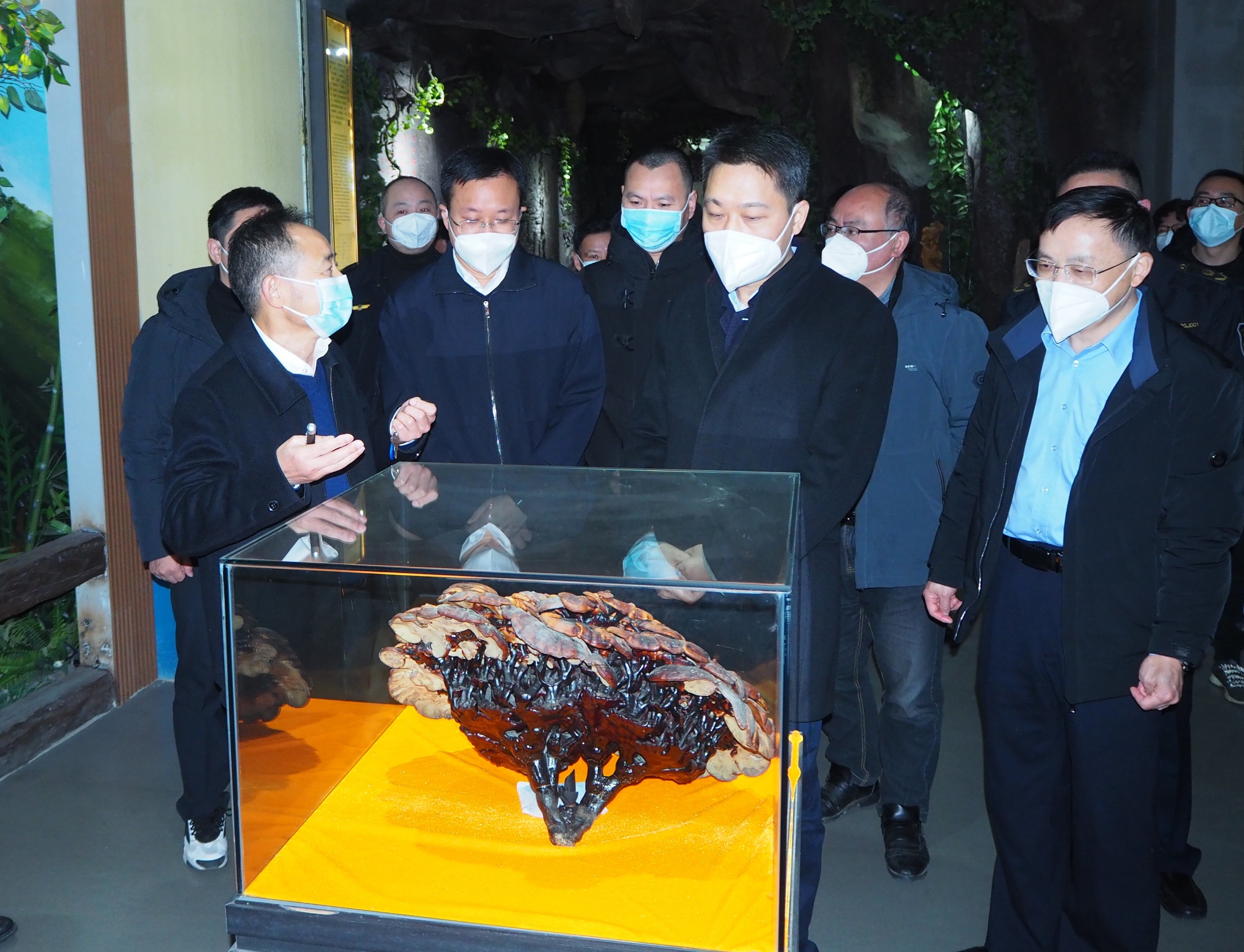 杭州亞運(yùn)會(huì)官方靈芝產(chǎn)品供應(yīng)商|杭州亞運(yùn)會(huì)官方供應(yīng)商|中國靈芝十大品牌|仙客來靈芝|仙客來靈芝破壁孢子粉|仙客來孢子油|仙客來靈芝飲片|仙客來破壁孢子粉|靈芝孢子油|孢子粉|靈芝破壁孢子粉|靈芝|中華老字號(hào)