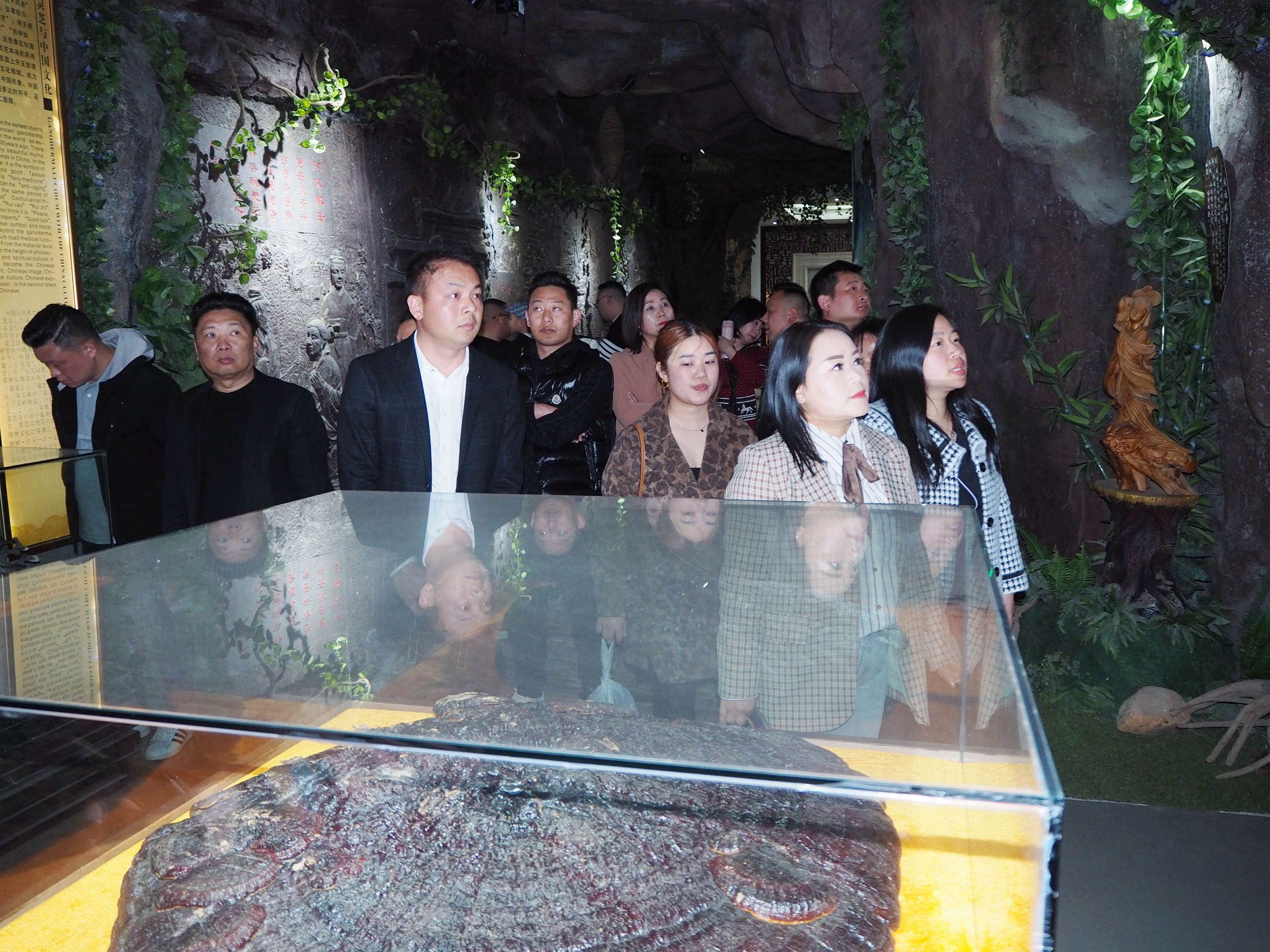 杭州亞運(yùn)會(huì)官方靈芝產(chǎn)品供應(yīng)商|杭州亞運(yùn)會(huì)官方供應(yīng)商|中國(guó)靈芝十大品牌|仙客來靈芝|仙客來靈芝破壁孢子粉|仙客來孢子油|仙客來靈芝飲片|仙客來破壁孢子粉|靈芝孢子油|孢子粉|靈芝破壁孢子粉|靈芝|中華老字號(hào)