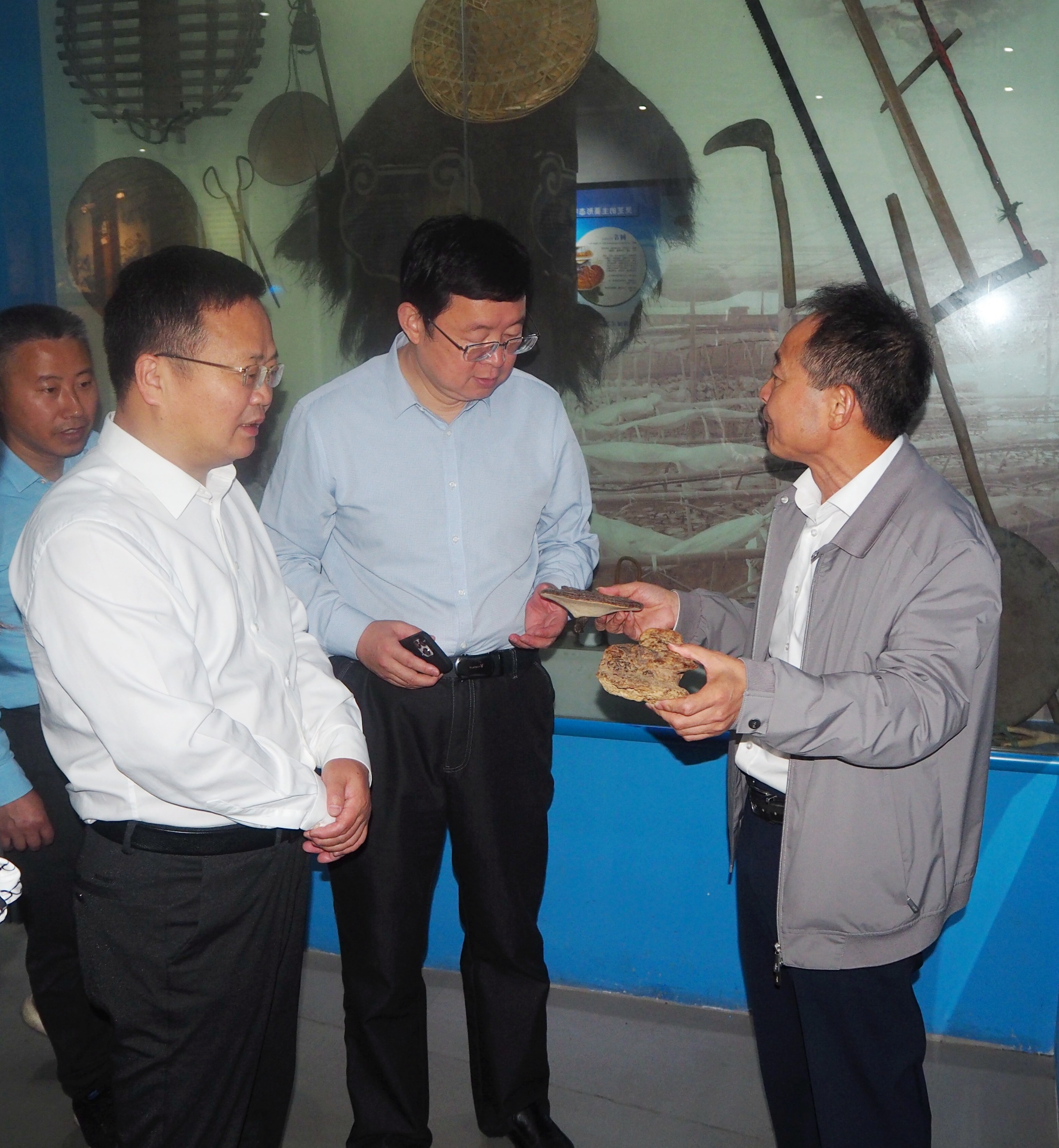 杭州亞運(yùn)會(huì)官方靈芝產(chǎn)品供應(yīng)商|杭州亞運(yùn)會(huì)官方供應(yīng)商|中國(guó)靈芝十大品牌|仙客來(lái)靈芝|仙客來(lái)靈芝破壁孢子粉|仙客來(lái)孢子油|仙客來(lái)靈芝飲片|仙客來(lái)破壁孢子粉|靈芝孢子油|孢子粉|靈芝破壁孢子粉|靈芝|中華老字號(hào)