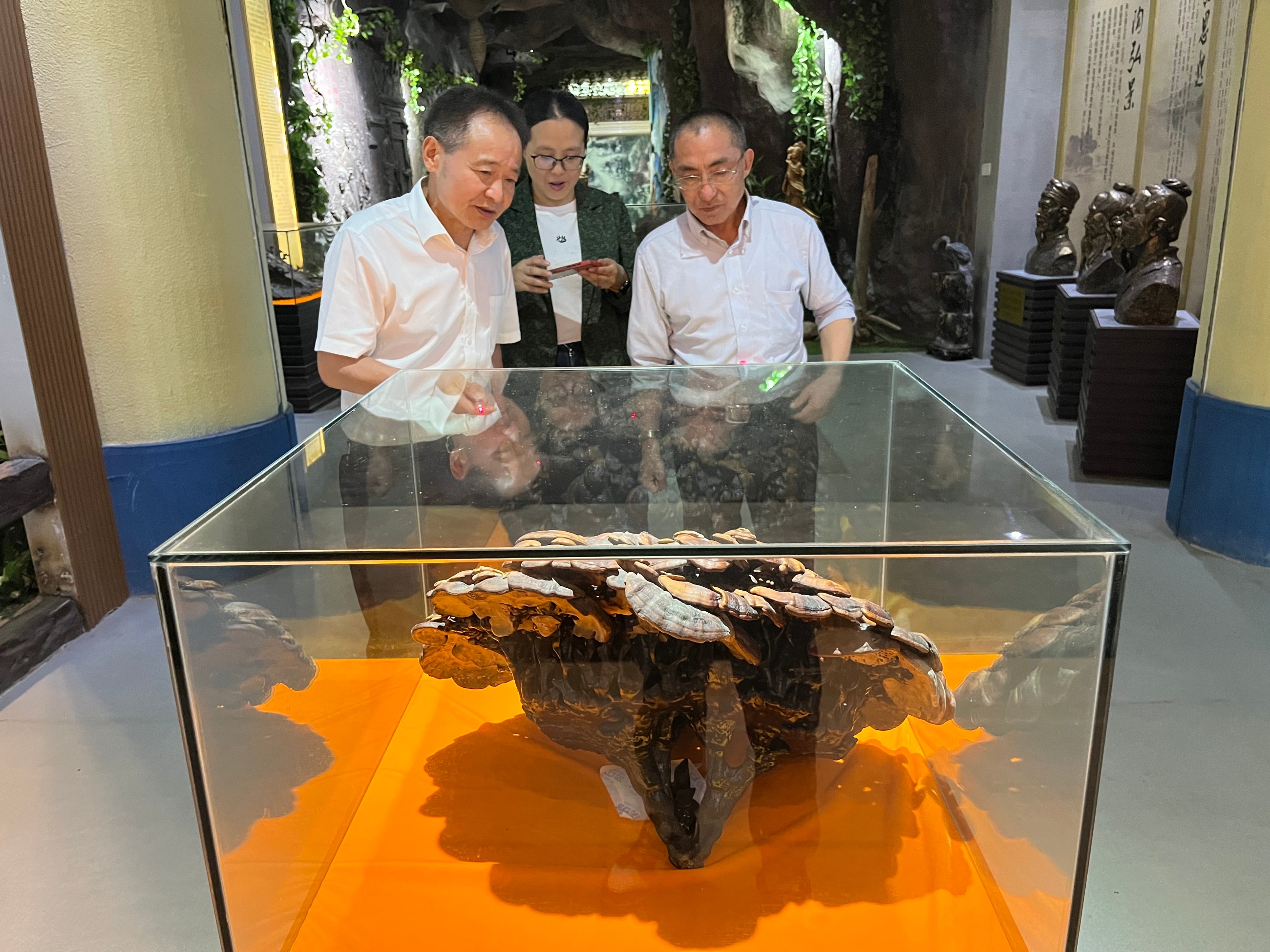 杭州亞運(yùn)會(huì)官方靈芝產(chǎn)品供應(yīng)商|杭州亞運(yùn)會(huì)官方供應(yīng)商|中國靈芝十大品牌|仙客來靈芝|仙客來靈芝破壁孢子粉|仙客來孢子油|仙客來靈芝飲片|仙客來破壁孢子粉|靈芝孢子油|孢子粉|靈芝破壁孢子粉|靈芝|中華老字號(hào)